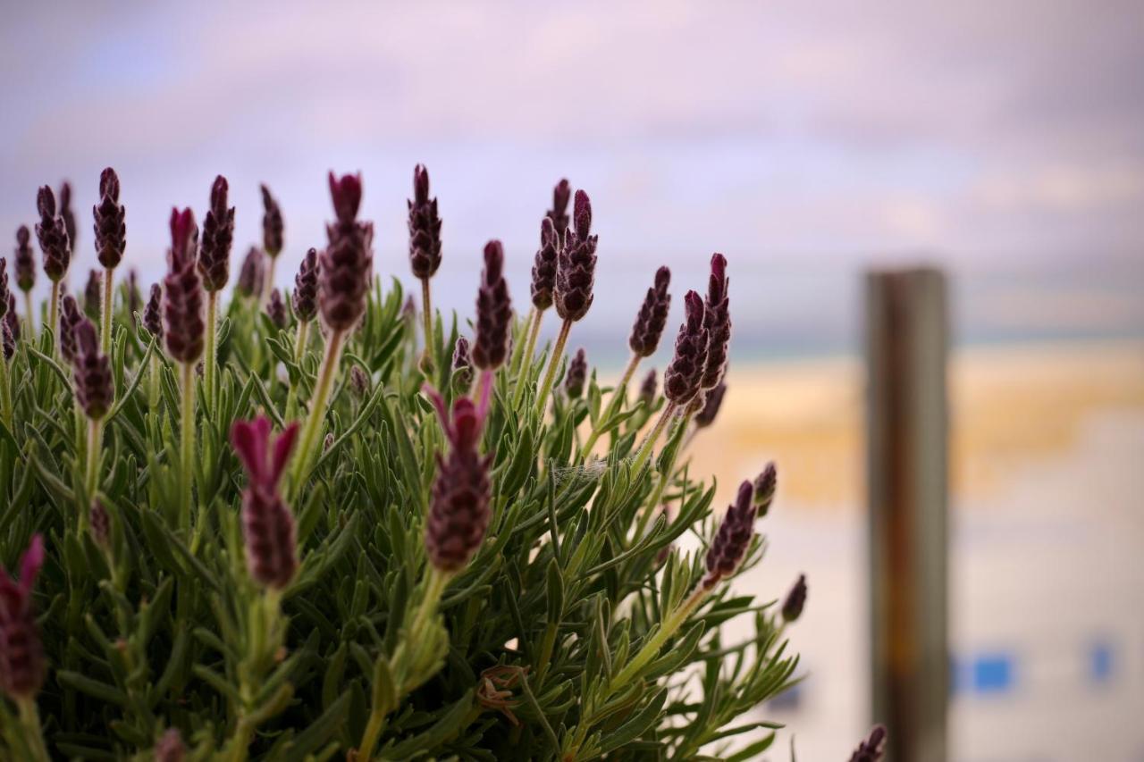 Tarifa Cozy House - Penthouse Humero 270º Bagian luar foto